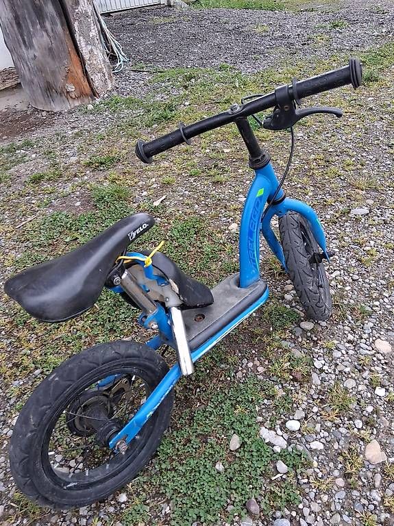 Veicoli per bambini: Laufrad 12 Zoll – Usato da Schönholzerswilen venduto da ToStu11 1