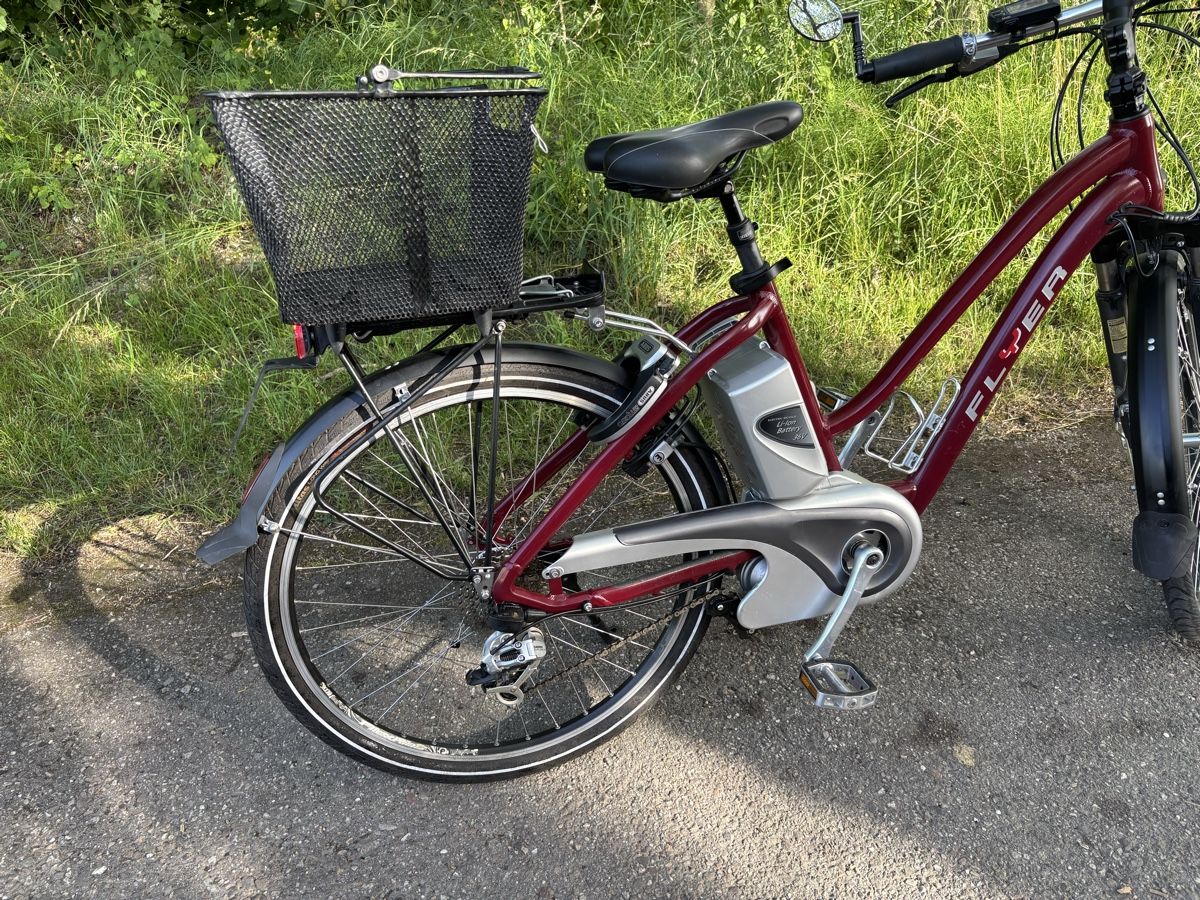 Flyer Biciclette: Flyer 45Km/h – Usato da Kleindietwil venduto da her_d77z 6