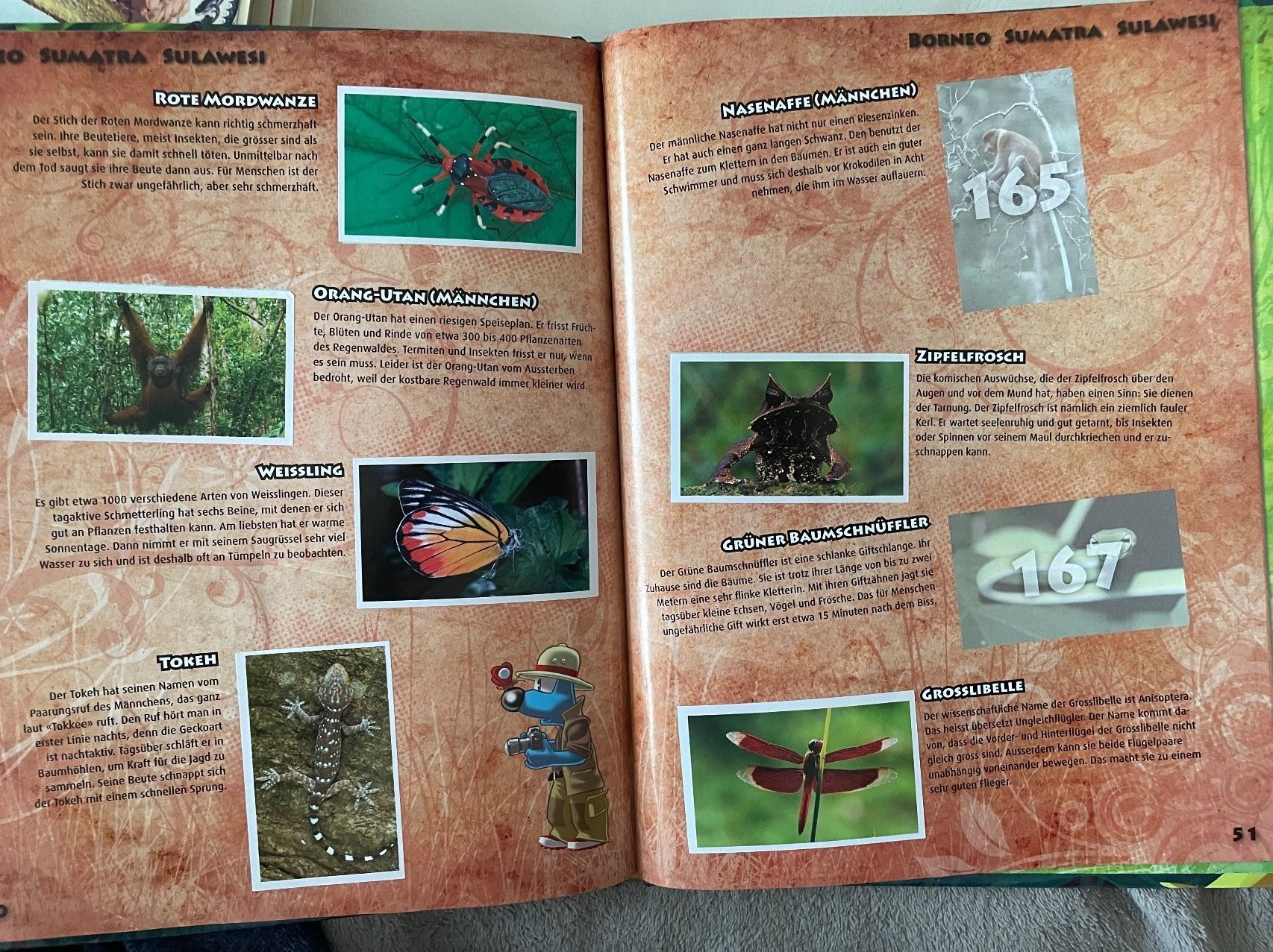 WWF Album: Abenteuer Regenwald – Usato da Urdorf venduto da Anassor 3