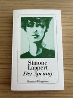 Der Sprung - Simone Lappert