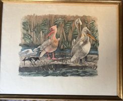 HAiNARD Robert 1906-1999