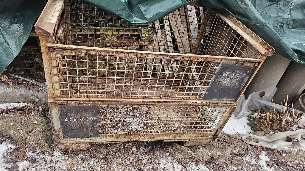 Griglie e Inferriate: Gitterpalette – Usato da Bronschhofen venduto da si.quero 1
