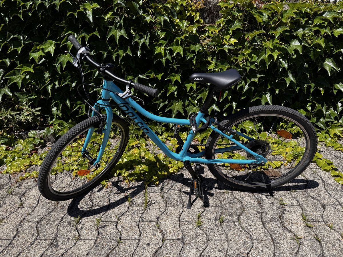 Naloo Biciclette: Naloo Chameleon 24 Zoll Kindervelo – Usato da Rüti ZH venduto da bashki