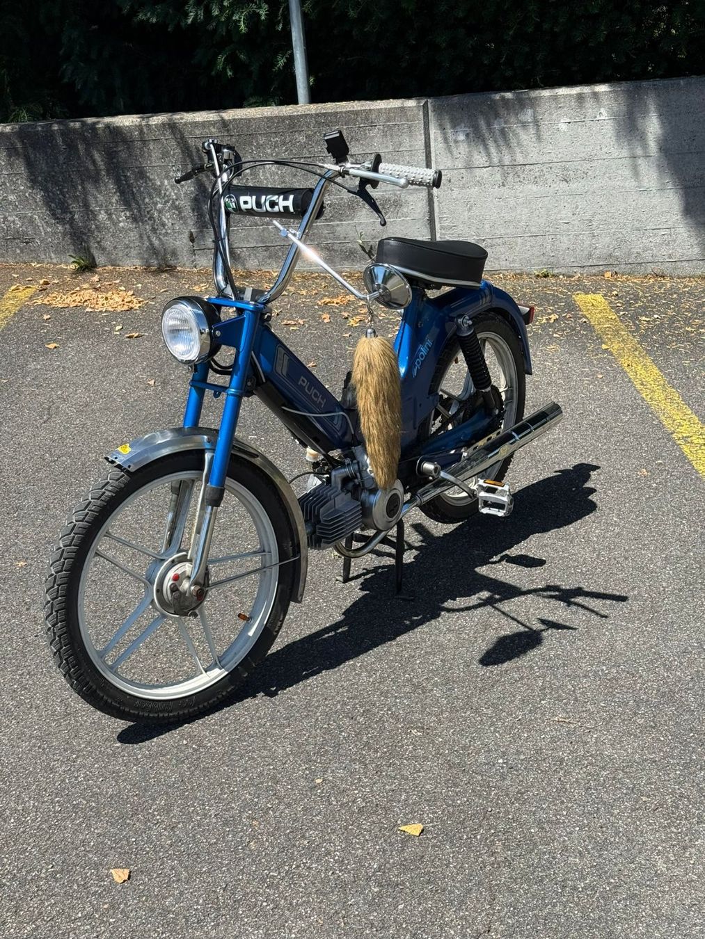 Puch Cyclomoteurs: Puch Maxi S Blau – D'occasion à Buchs AG par BDK3