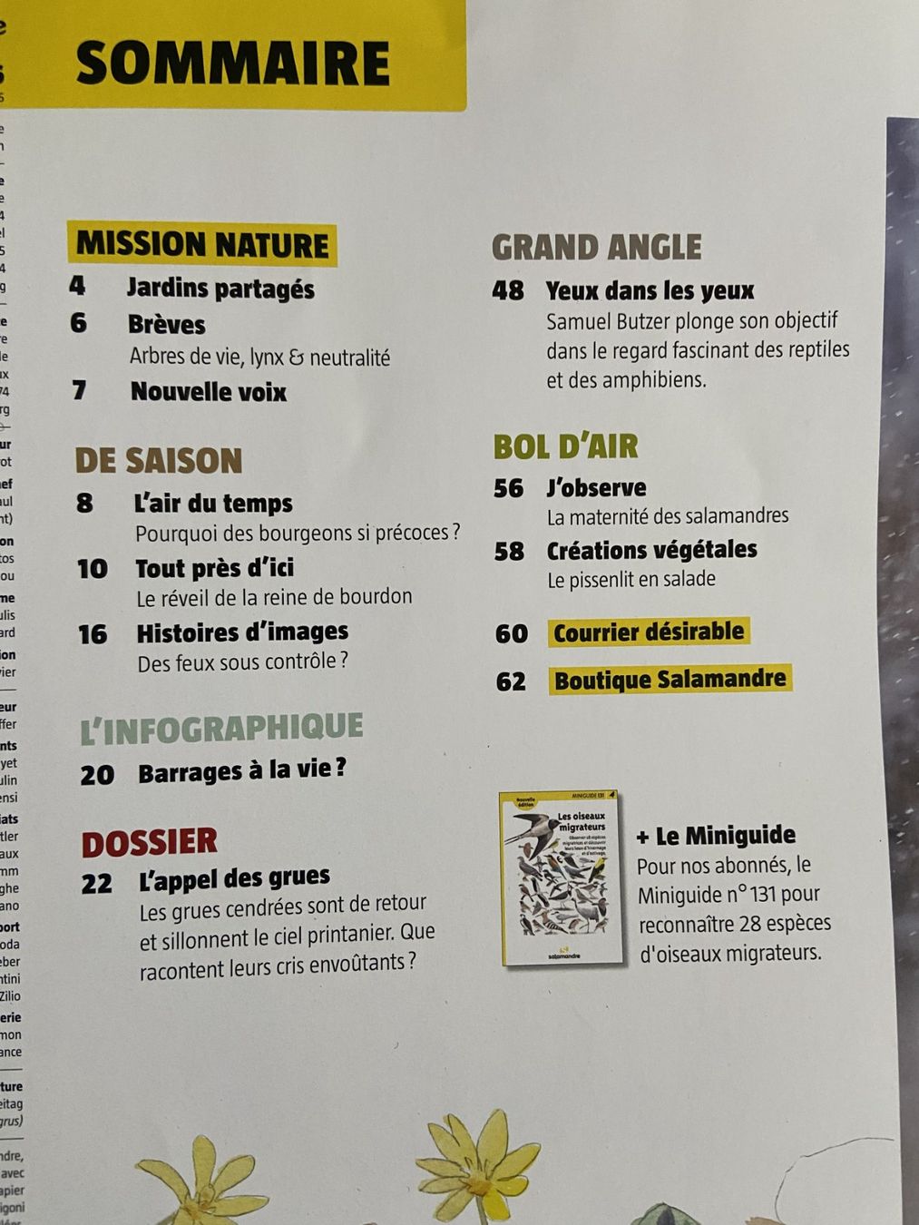 Riviste & Magazine: Revue Salamandre : Collection complète printemps en nature! – Nuovo (secondo la descrizione) da Neuchâtel venduto da marevecor 2
