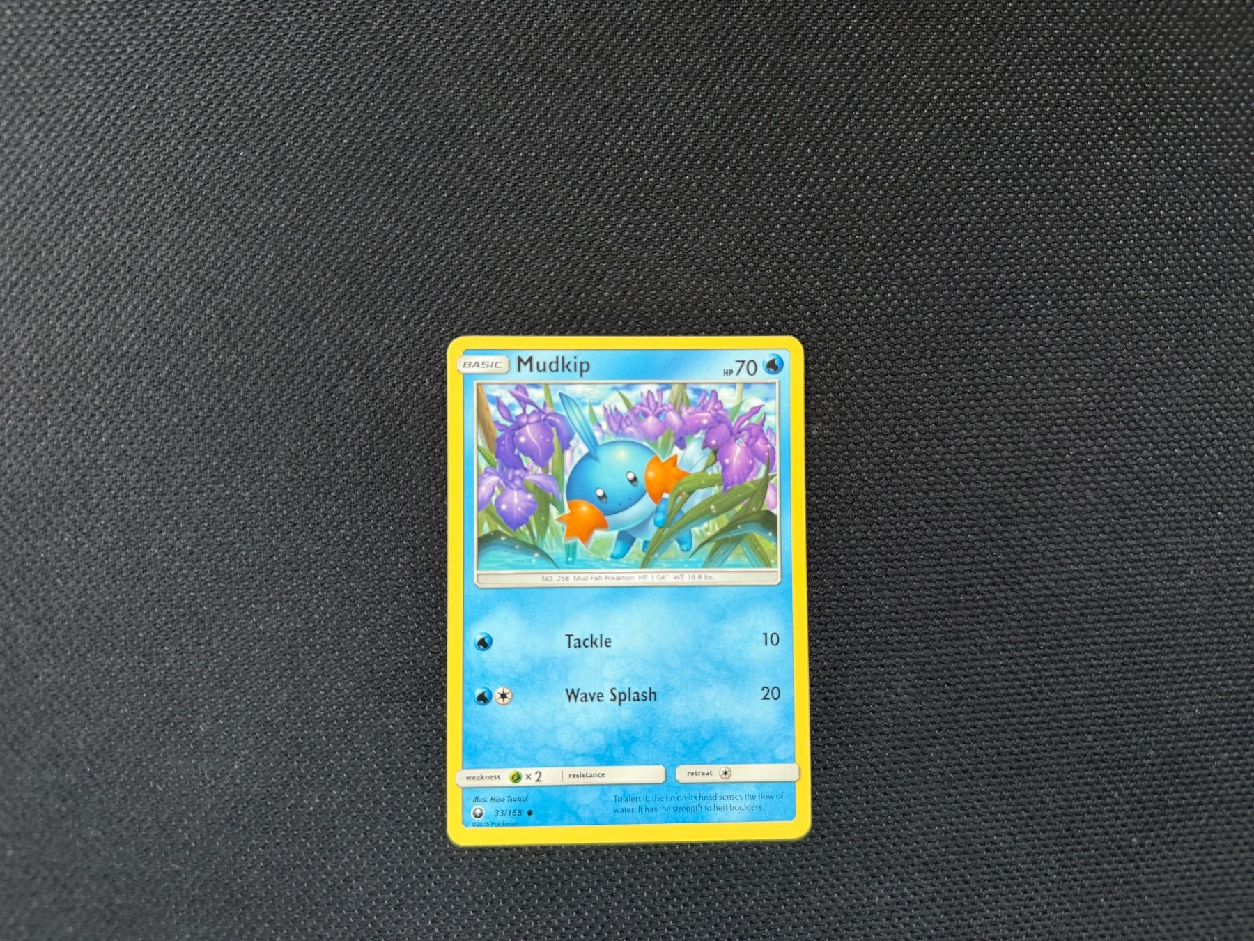 Pokémon Cartes à collectionner: Mudkip 33/168 – D'occasion à Zürich par mountainwizard00