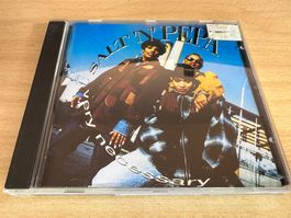 Salt 'N' Pepa – Very Necessary