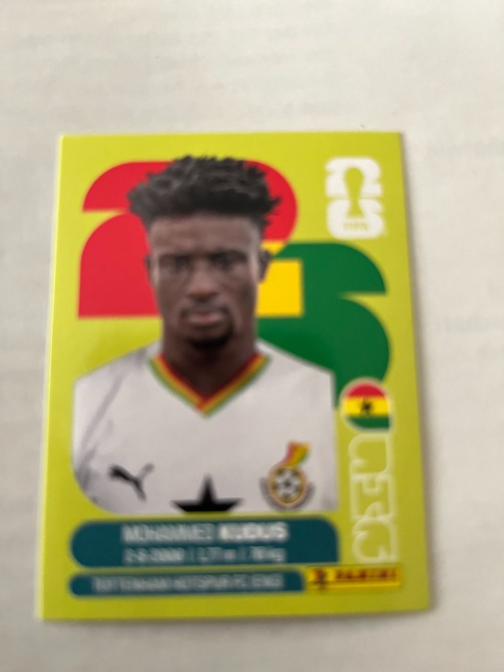 Panini Carte collezionabili: Panini World Cup 2026 – Usato da Winterthur venduto da fla_hwg8