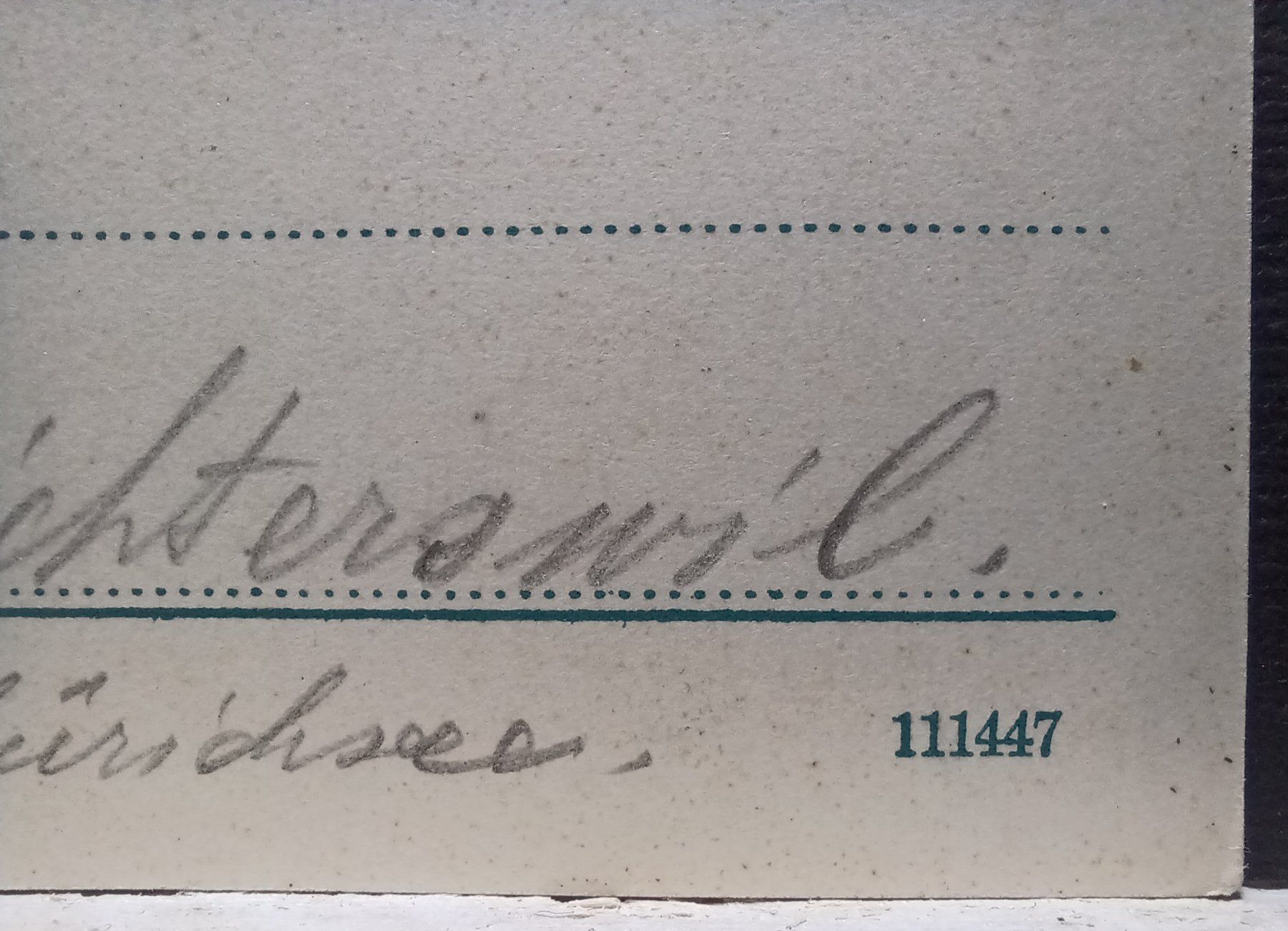 Cartoline postali: No. 3012 a, Grimsel-Strasse, Nägelisgrätli, 1908 – Usato da Aarau Rohr venduto da mgvw 5