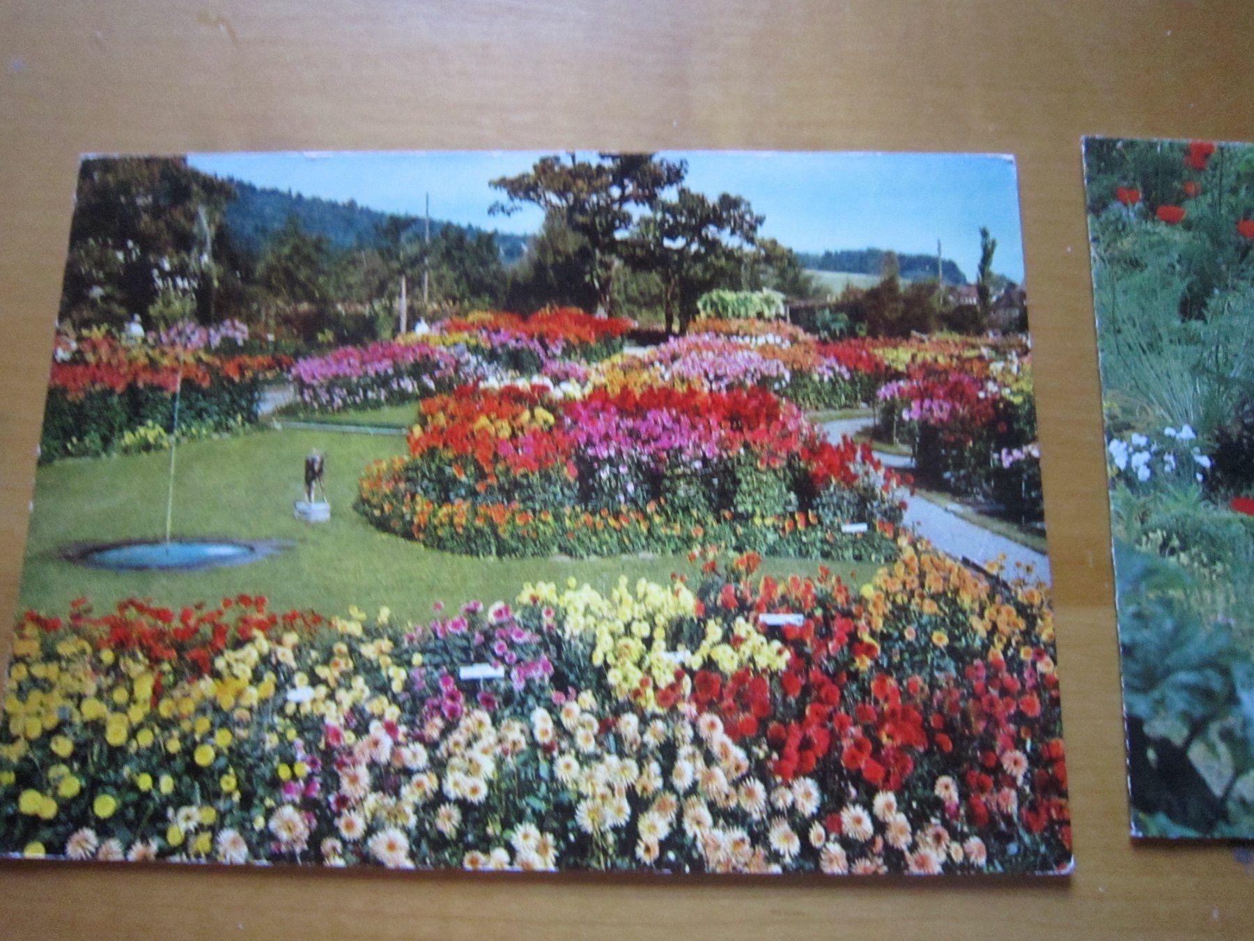 Cartoline postali: No 2 Postkarten Blumen – Usato da Gordola venduto da Polentaefung 2