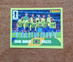Panini BRA 13