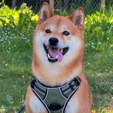 Profile image of sar_89qm