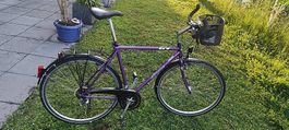 Kultiges GT Cirque 28 Zoll Trekking Citybike Retro Velo 59.5