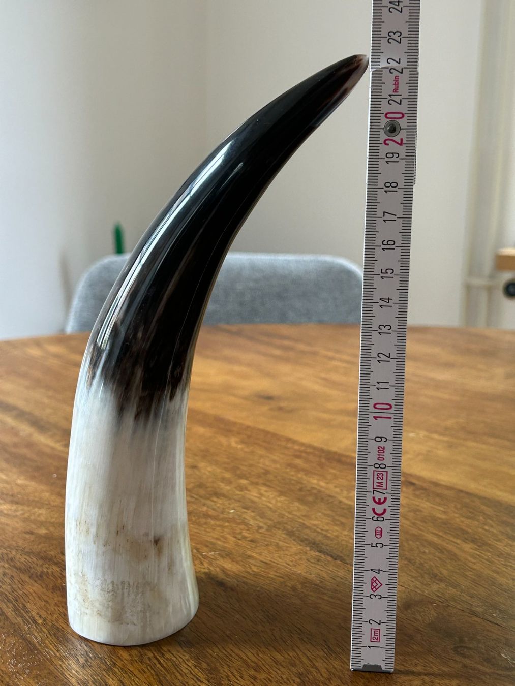 Tutte le decorazioni: Trinkhorn ca. 200ml – Usato da Kreuzlingen venduto da Flsta 3