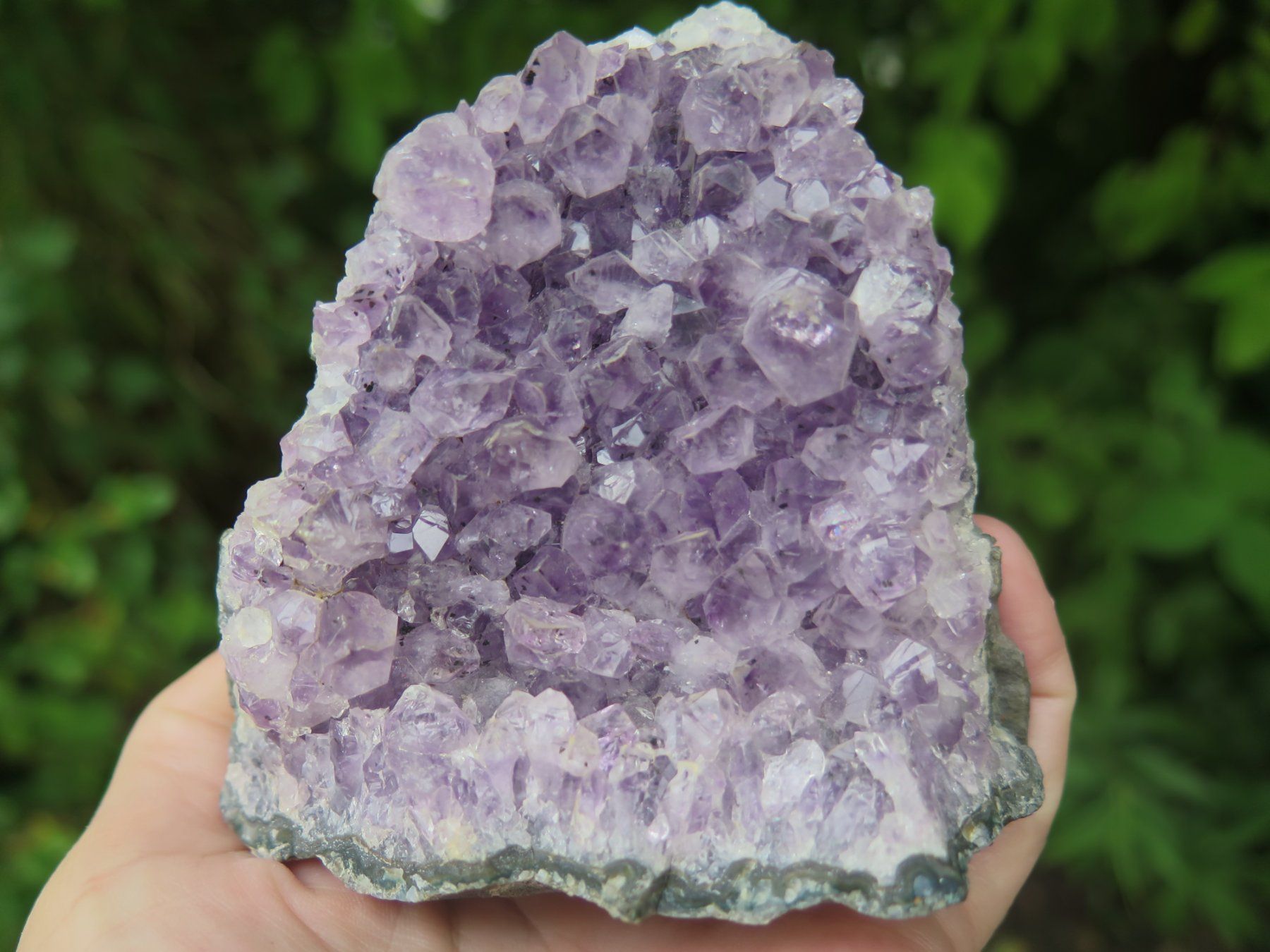 Minéraux & Lithothérapie: Amethyst von Brasilien ca. 426 gr. – D'occasion à Schaffhausen par Yamakana51L8736OQ8