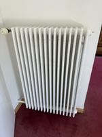 Klassischer Stahl-Rippenheizkörper mit Danfoss-Thermostat 