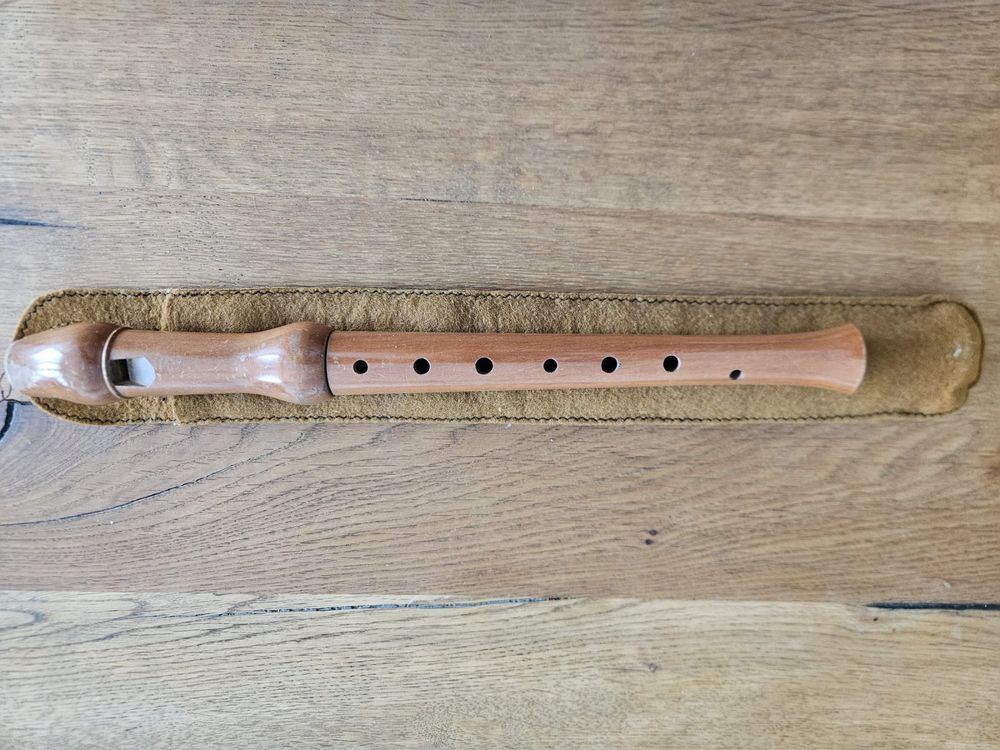 Küng Sopran Blockflöte mit Etui ab 1Fr. (Gebraucht) in Birr für CHF 1 ...