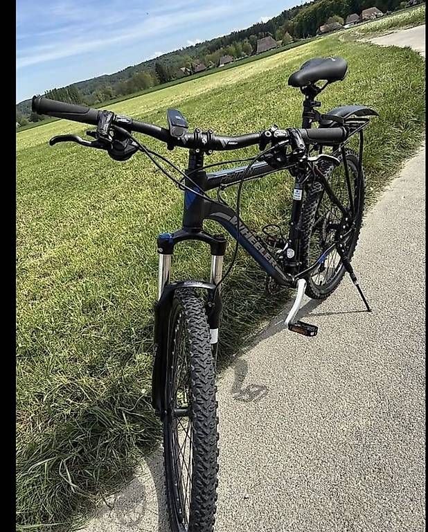 Wheeler Biciclette: Mountain Bike Herren – Usato da Luzern venduto da ladi01