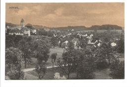 Hinwil (ZH) Dorfpartie mit Kirche - Obstbäume - 1923