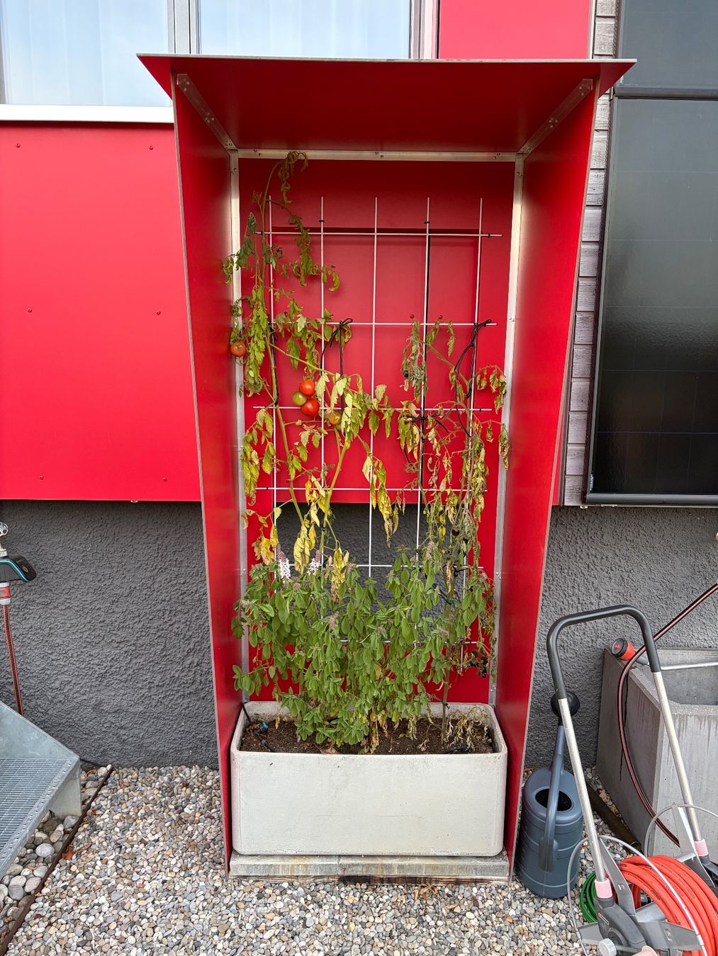 Gartenhäuser & Gewächshäuser: Tomatenhaus – Gebraucht aus Wangen b. Olten von Tom671
