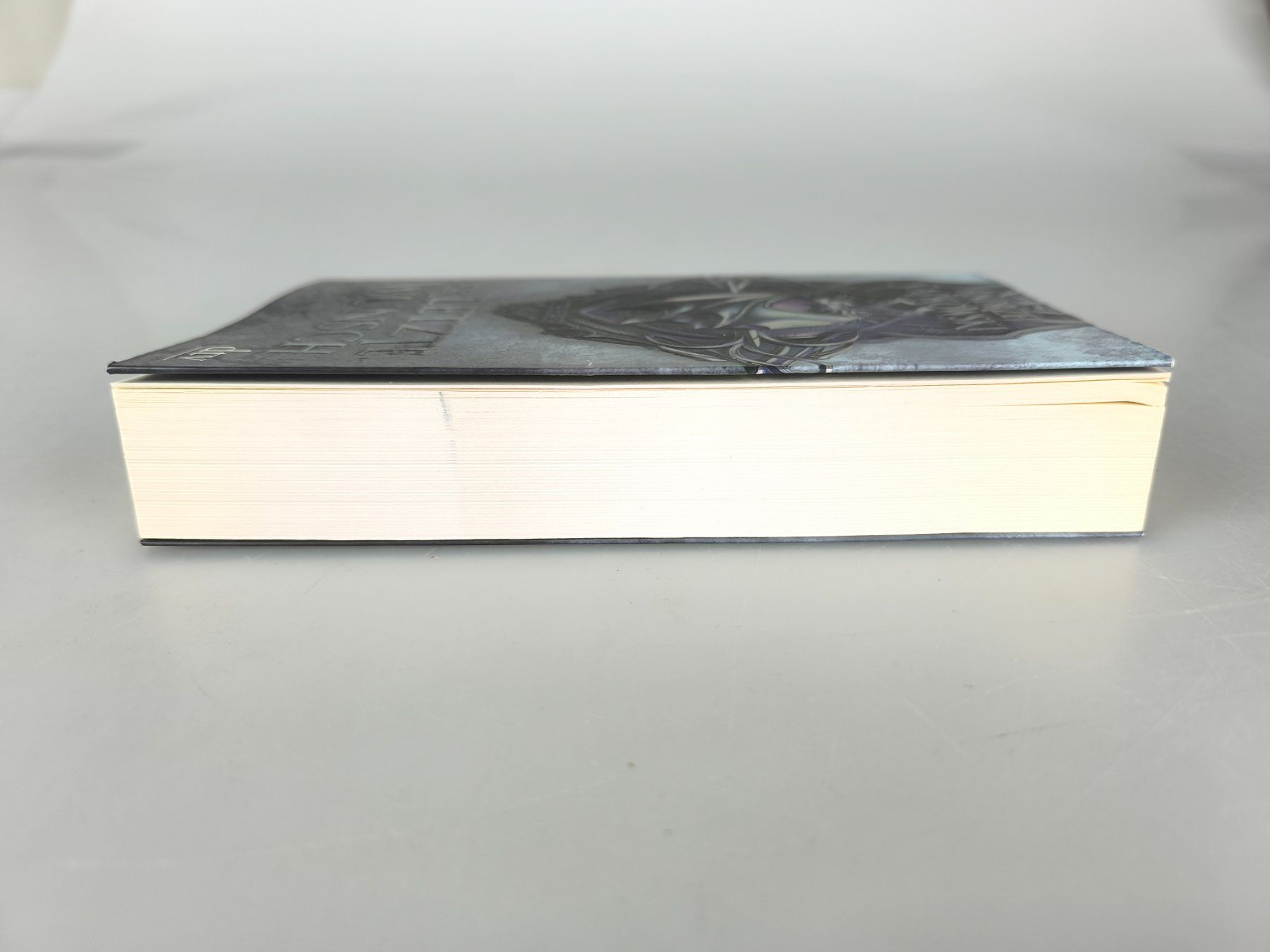 Libri: The Witcher: Der letzte Wunsch - Andrzej Sapkowski dtv – Usato da Rüti ZH venduto da Restwert_Rueti_ZH 3
