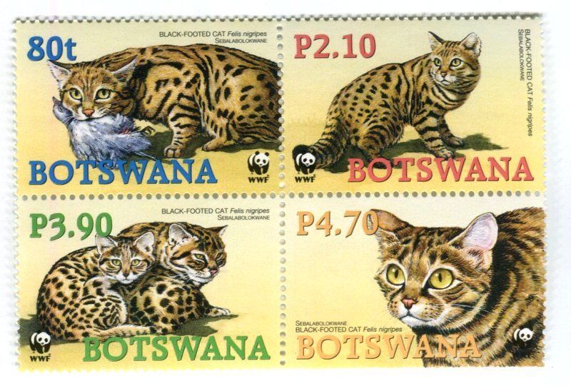 Tous les timbres: Briefmarken "Schwarzfusskatze". Botswana – Neuf avec emballage d'origine à Basel par Butsch5