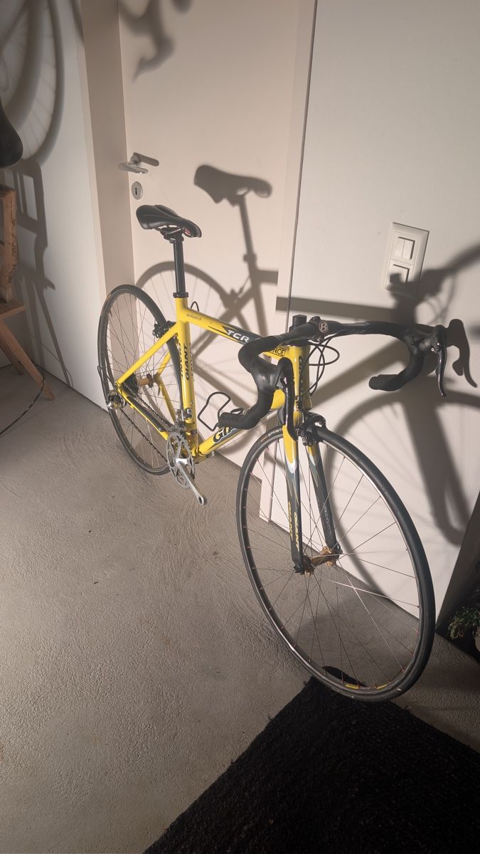 Giant Biciclette: Giant TCR Campagnolo – Usato da Lostorf venduto da Simcom2 7