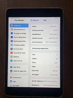 Ipad mini 4 128GB ohne Zubehör