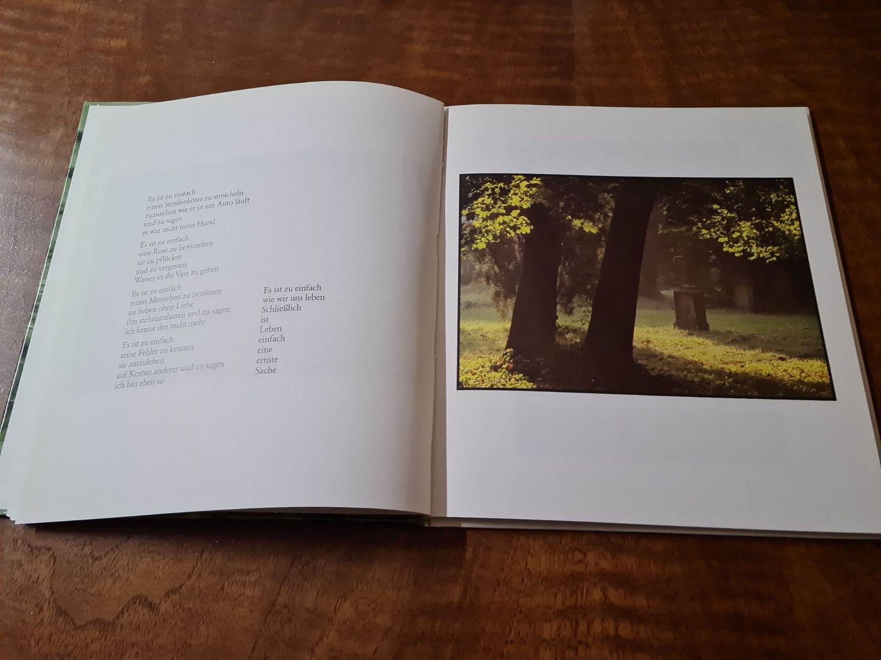 Libri: Pflücke den Tag – Usato da Erstfeld venduto da Mario_boe0 3