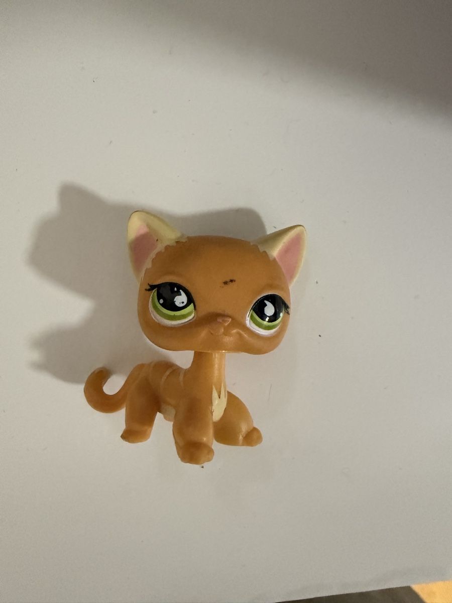 Hasbro Giocattoli: PETSHOP CHAT POPULAR – Usato da Lausanne venduto da mmr_lz5m