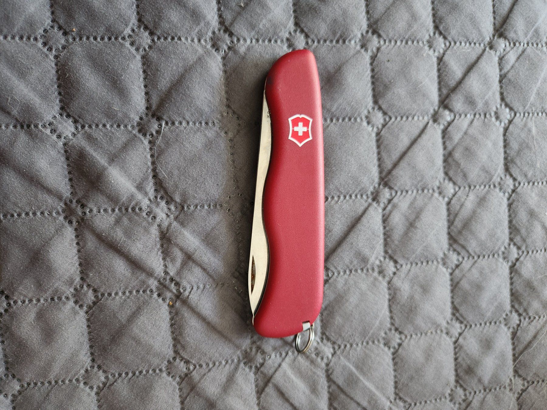 Victorinox Coltelli tascabile: Taschenmesser Victorinox rot – Nuovo (secondo la descrizione) da Oftringen venduto da Leleni