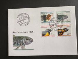 FDC Brief Pro Juventute 1995  (P929)