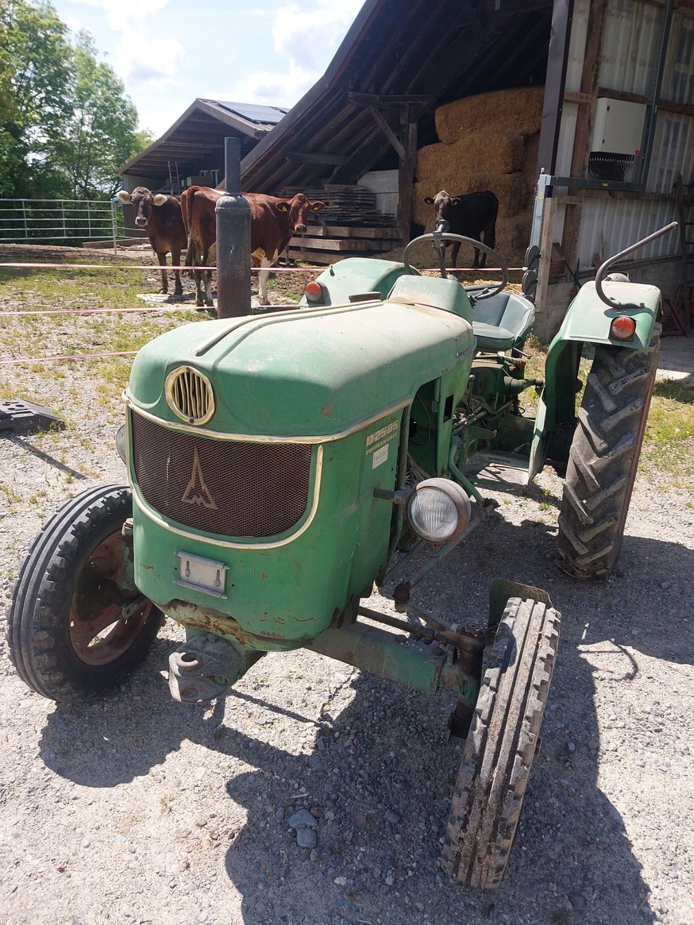 Deutz Trattori: Traktor Deutz D2505 – Usato da Bachenbülach venduto da KHDV12