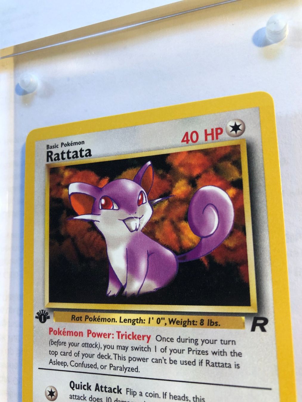 Sammelbilder & Trading cards: Rattata 1st Team Rocket - MINT - ab 1.- – Gebraucht aus Giubiasco von dan_pr8b 3
