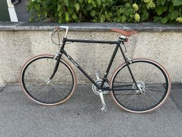Velo Najbr