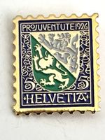 Kantonswappen Thurgau Pin selten nur 1000 Ex.