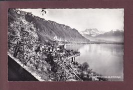 TERRITET - MONTREUX au printemps