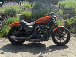 Harley Davidson Iron 883 Occasion Top Zustand Sommer