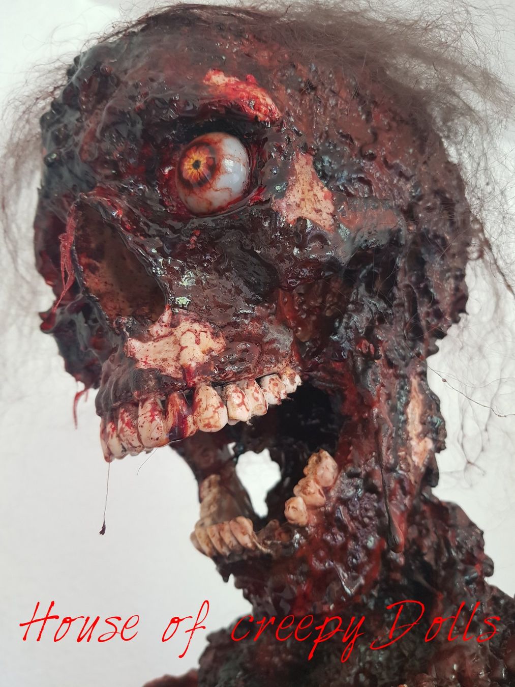 Tutte le decorazioni: HALLOWEEN / HORROR SKELETT FRED – Nuovo e nell'imballaggio originale da Root venduto da LifestyleAccessoires 2