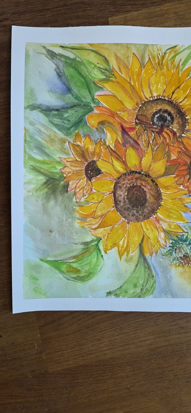 Dipinti: Sonnenblumen aqarell – Nuovo e nell'imballaggio originale da Ebikon venduto da vij_fg72 1