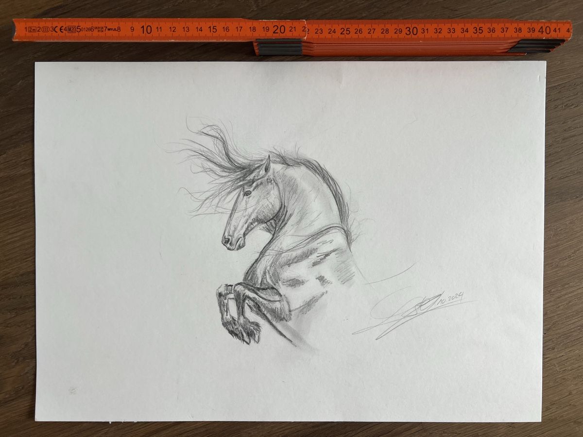 Tableaux: Pferdezeichnung Gemälde – Neuf (Voir description) à Honau par StudioSunas