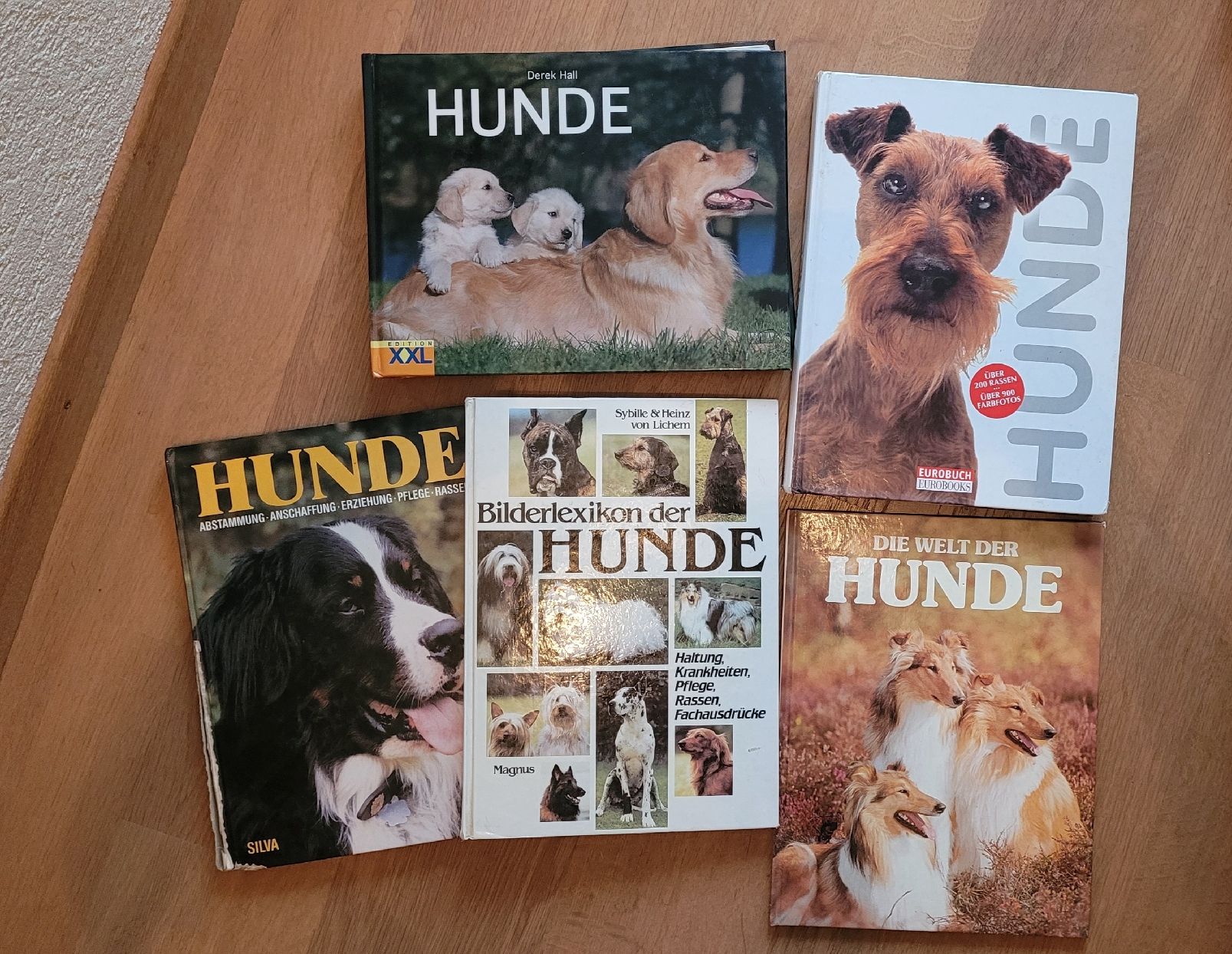 Libri: Diverse Hundebücher – Usato da Uetendorf venduto da Heyhey3661