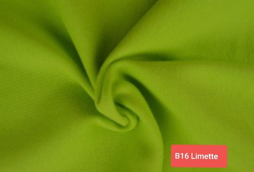 Tessuti: Bündchen Limette – Nuovo e nell'imballaggio originale da Steg im Tösstal venduto da J.Kreisl
