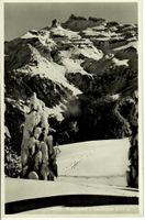 Braunwald