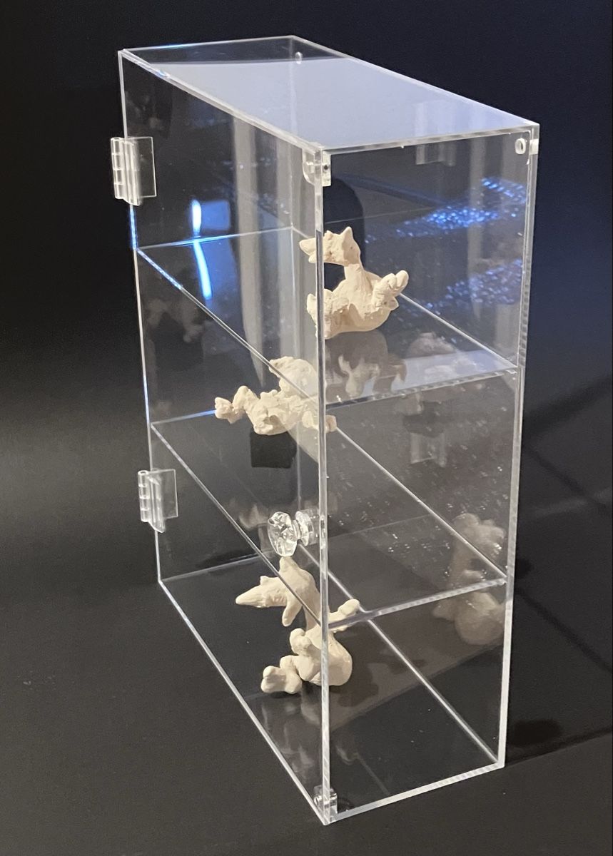 Vetrine: Neue Acrylvitrine (feiner 1cm Kratzer in Front) – Nuovo e nell'imballaggio originale da Bremgarten AG venduto da merlindimi 1