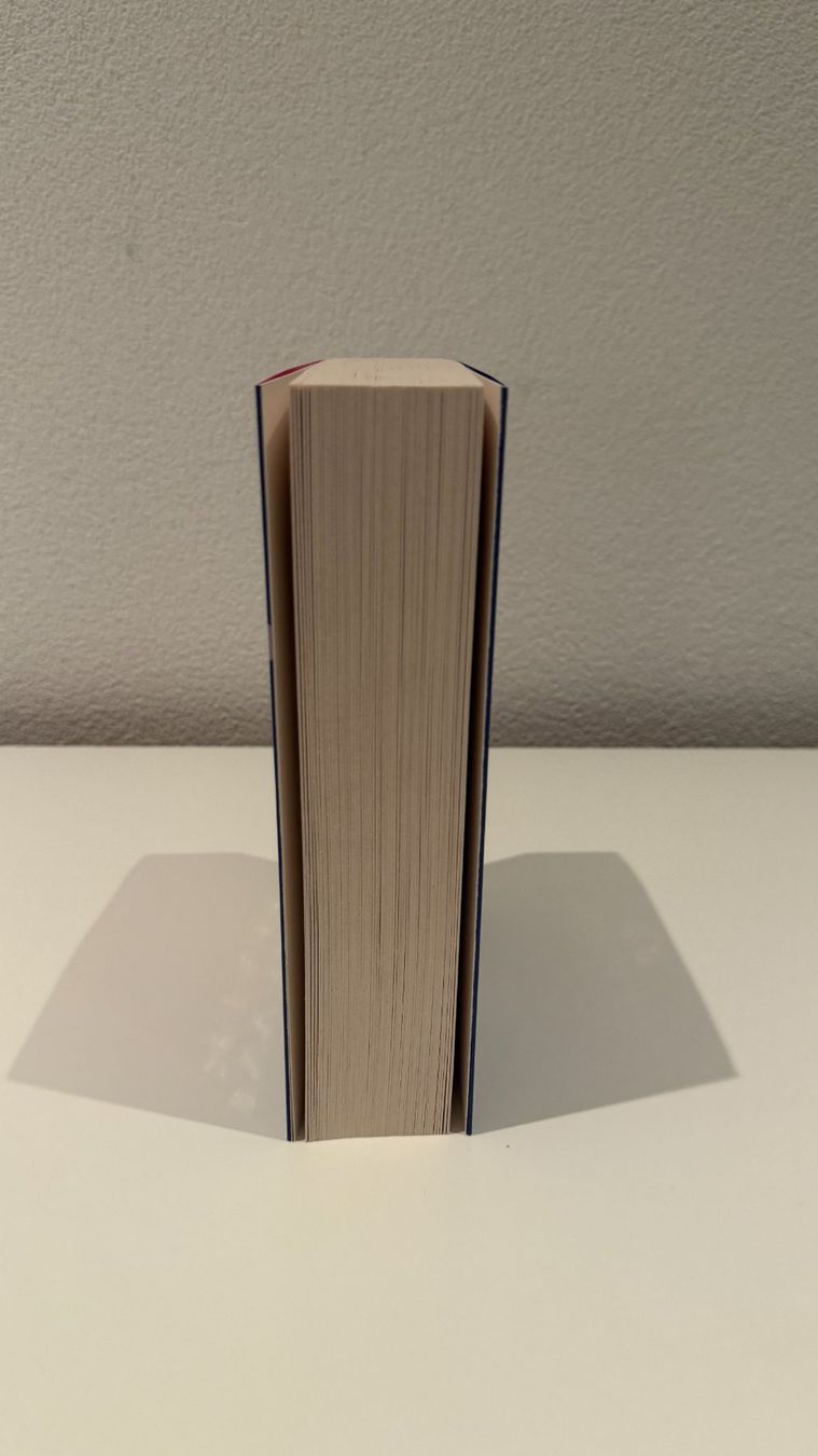 Bücher: Fever Dream - Elsie Silver – Neu (gemäss Beschreibung) aus Romanshorn von darinaah 3