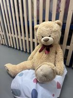 Grosser Teddybear Sauber