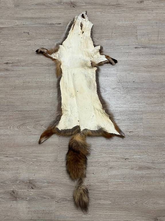 Il mondo degli animali: Vintage Rotfuchs Echtfell Ganzfell mit Schweif – Usato da Obernau venduto da Arche_Noah_Brocki 4