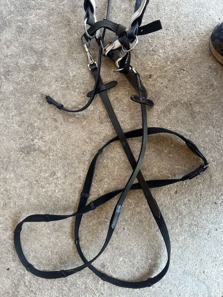 Briglie & Cavezze: Bride bitless taille Full  – Usato da Plan-les-Ouates venduto da aur_z5pj 6