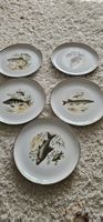 5 Essteller Arzberg Fischmotiv Teller Set Vintage Neu
